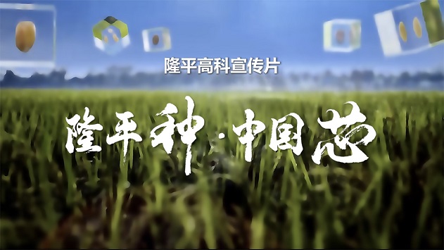 AG真人高科宣传片《AG真人种·中国芯》